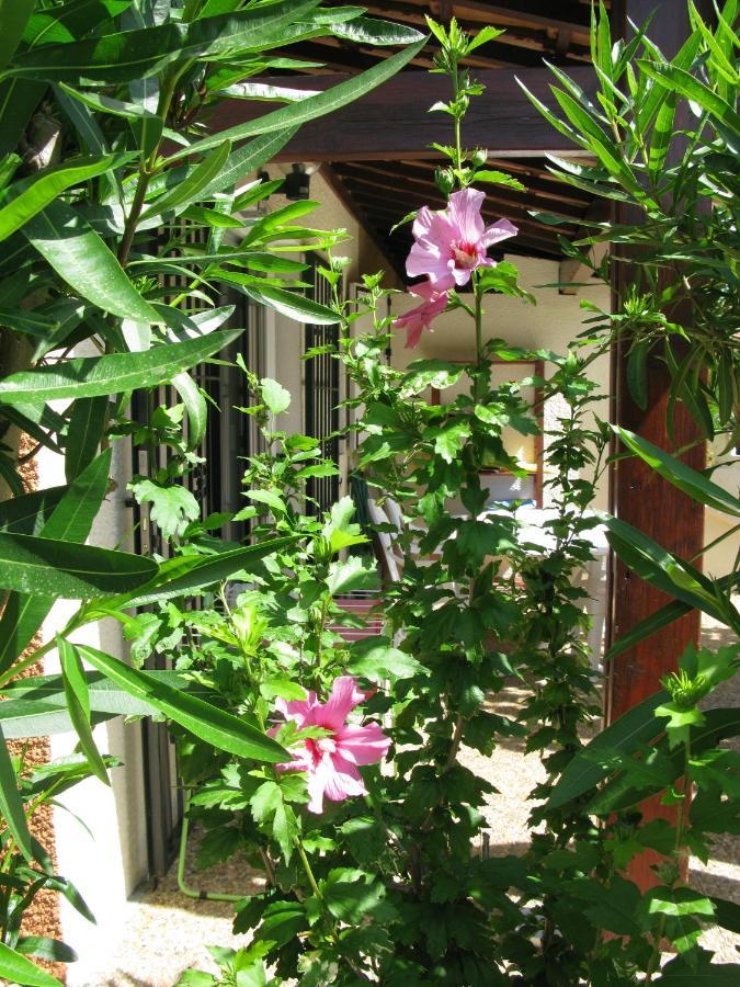 Vias Plage - Maison De Vacances ภายนอก รูปภาพ